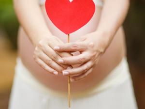 El sobrepeso y la obesidad, problemas más frecuentes durante el embarazo. / brusalvate (PIXABAY)