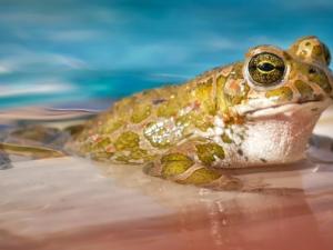 waters-gc31c493b9_12