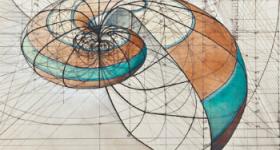 Una muestra que une la zoología, las matemáticas y el arte. / MNCN-CSIC