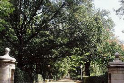 El Real Jardín Botánico