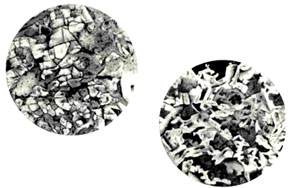 Aspecto microscópico de rocas ofíticas