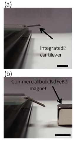 Preparando en Europa la próxima generación de imanes permanentes: sentido común, sostenibilidad, innovación y cooperación, ingredientes fundamentales