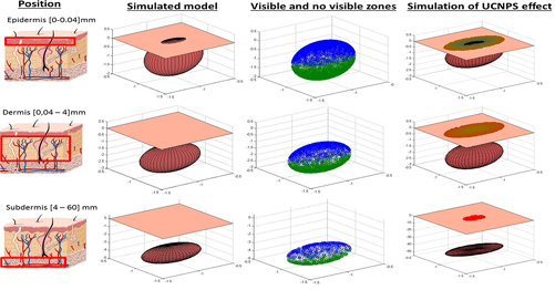 Diseñan nuevos materiales con propiedades luminiscentes para detectar tumores dérmicos